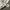 Polo Adidas Vintage Three Stripes  photo 6