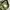 Military Cargo Pants photo 5