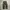 Military Cargo Pants
