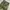 Military Cargo Pants photo 3