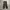 Military Cargo Pants photo 1