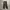 Military Cargo Pants