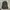 JanSport Casual Bag Pria black photo 2