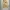 Jemut scone wide balloon pants photo 1