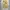 Jemut Scone Wide Balloon Pants