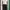 Pleated stripe pants  photo 4