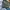 Kaos Outdoor BlackYak Everest Himalaya Baselayer Hiking Trek photo 5