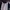 POLOSHIRT HALFZIP CROCODILE photo 2