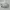 Trailheads Outdoor Cap White