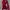 JACKET OUTDOR PARASUT SLAZENGER photo 1