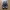 New Balance Streetwear Sportswear Sneakers Pria white black photo 4