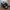 New Balance Streetwear Sportswear Sneakers Pria white black photo 3