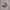Nike TN sz 42 photo 5