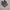 Nike TN sz 42 photo 3