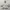 Baracuta Vintage Casual Harrington Jacket Pria White Gray