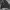 HOODIE CHAMBRE LIVING IN LIVE  photo 2