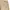 Levi's Streetwear Y2K Formal pants Pria tan photo 5