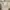 Levi's Streetwear Y2K Formal pants Pria tan photo 7