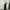 Gu Cargo Pants photo 2