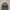 The North Face Sportswear Casual Bag Pria gray photo 5