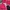 TRACKTOP NIKE REVESIBLE BLACK PINK photo 1