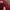 VINTAGE NIKE ALONZO HARDING MOURNING LONGSLEEVE  photo 6