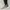 MONTBELL HIKING SHOES SIZE 45 photo 8