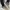 MONTBELL HIKING SHOES SIZE 45 photo 4