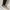 MONTBELL HIKING SHOES SIZE 45 photo 6