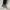 MONTBELL HIKING SHOES SIZE 45 photo 7