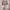 SHEWEARSSUGAR x ZETA BLANCO - Lover Girl Dress | Dress Wanit photo 3