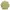Dickies Minimalist Casual Shirt Pria Khaki