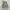 Lon John Tactical Vest Multipocket photo 2