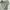 Lon John Tactical Vest Multipocket photo 5