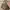 Turati milano hand bag /vintage leather shoulder bag  photo 1