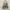Kipling woman backpack / ransel kipling photo 6