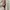 Kipling woman backpack / ransel kipling photo 3