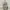 Kipling woman backpack / ransel kipling photo 1