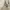 Kipling woman backpack / ransel kipling photo 5