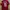 Jersey Home MU 2023/2024