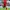 Jersey Home Liverpool 2023/2024 photo 3