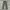 JAPAN BLUE JEANS MODERN MILITARY photo 3