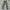 JAPAN BLUE JEANS MODERN MILITARY