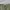 JAPAN BLUE JEANS MODERN MILITARY photo 5