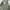 JAPAN BLUE JEANS MODERN MILITARY photo 8