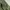 Not4nerd Army Ballon Cargo Pants photo 6