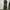 Not4nerd Army Ballon Cargo Pants photo 3