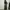 Not4nerd Army Ballon Cargo Pants