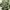 Not4nerd Army Ballon Cargo Pants photo 8