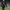 Jersey Away Ac Milan 2021/2022 photo 3